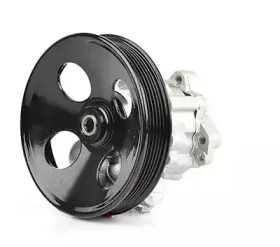 Гидравлический насос, рулевое управление BSG купить